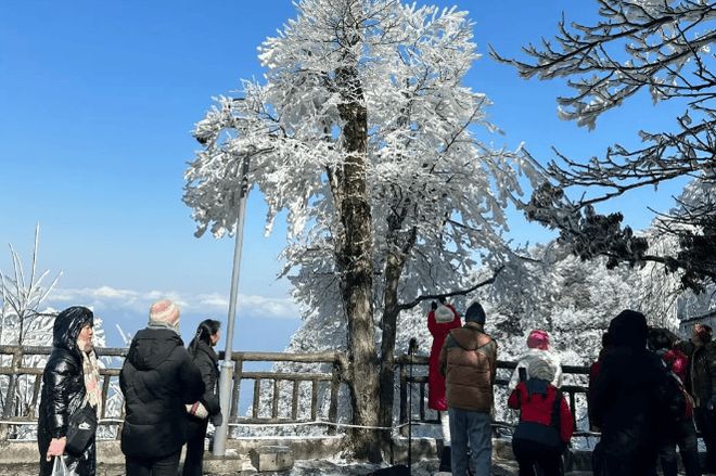 家庭出游有什么好的景点去从凤凰古城到天门山最佳路线分享(图3)